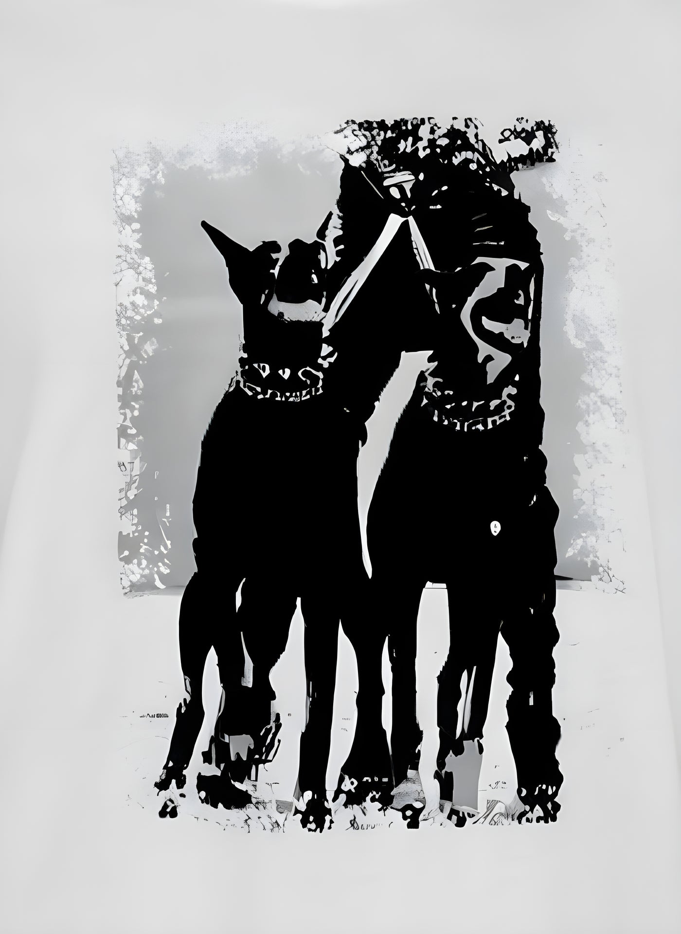 T-shirt en cotton avec Imprimée thème CHIENS - NAUMY
